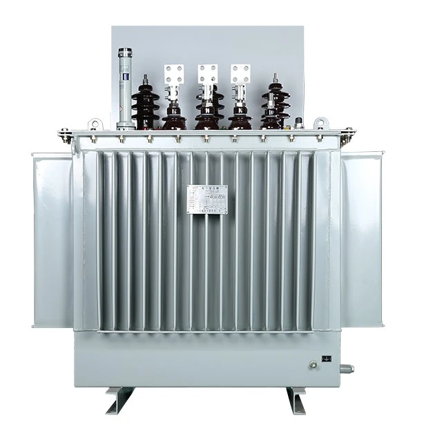 oil immersed transformer (3)